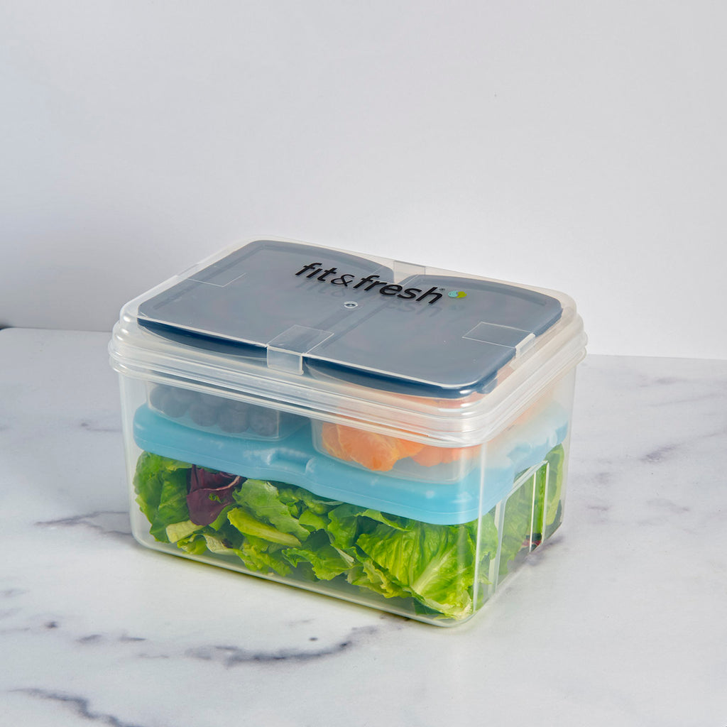 https://fit-fresh.com/cdn/shop/products/Fit_FreshEntreeSet_3Containers_XLSlimIcePack_Blue_1024x1024.jpg?v=1653060407